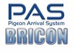 Bricon PAS